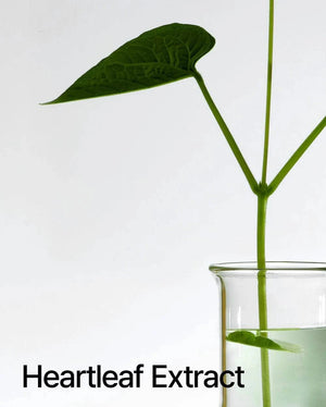 Anua HEARTLEAF PORE CONTROL CLEANSING OIL - Volare Makeup