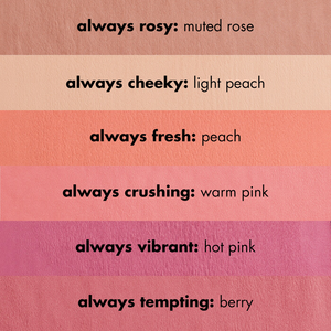 e.l.f. Primer-Infused Matte Blush - Volare Makeup