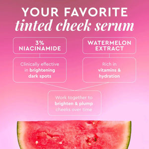 Glow Recipe Watermelon Glow Niacinamide Dewy Flush - Volare Makeup