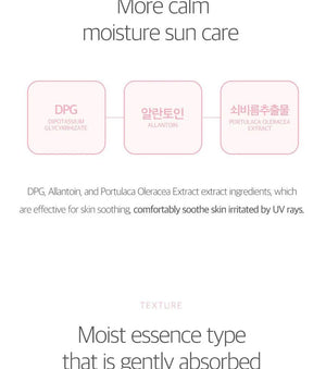 Round Lab BIRCH JUICE MOISTURIZING TONE-UP SUNSCREEN - Volare Makeup