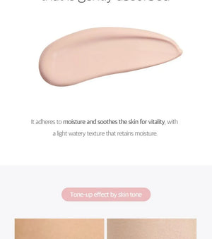 Round Lab BIRCH JUICE MOISTURIZING TONE-UP SUNSCREEN - Volare Makeup