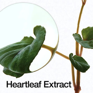 Anua Heartleaf 70% Daily Lotion - Volare Makeup