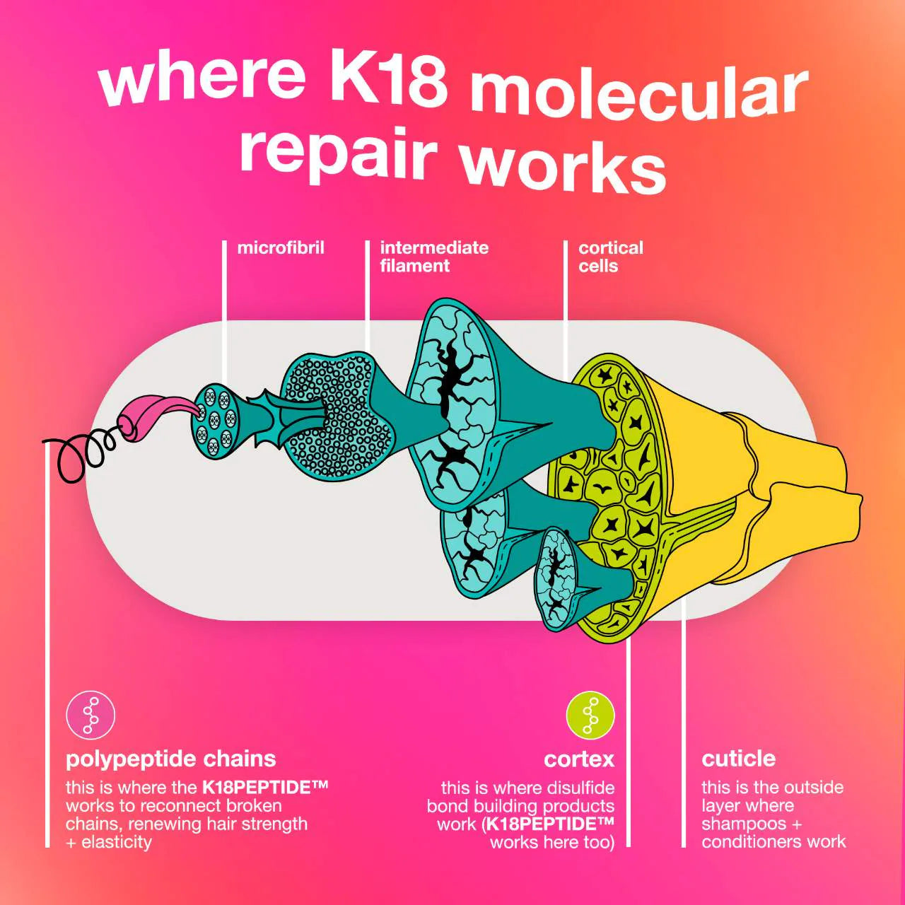 K18 Biomimetic Hair science Leave-In Molecular Repair Hair Mask - Volare Makeup