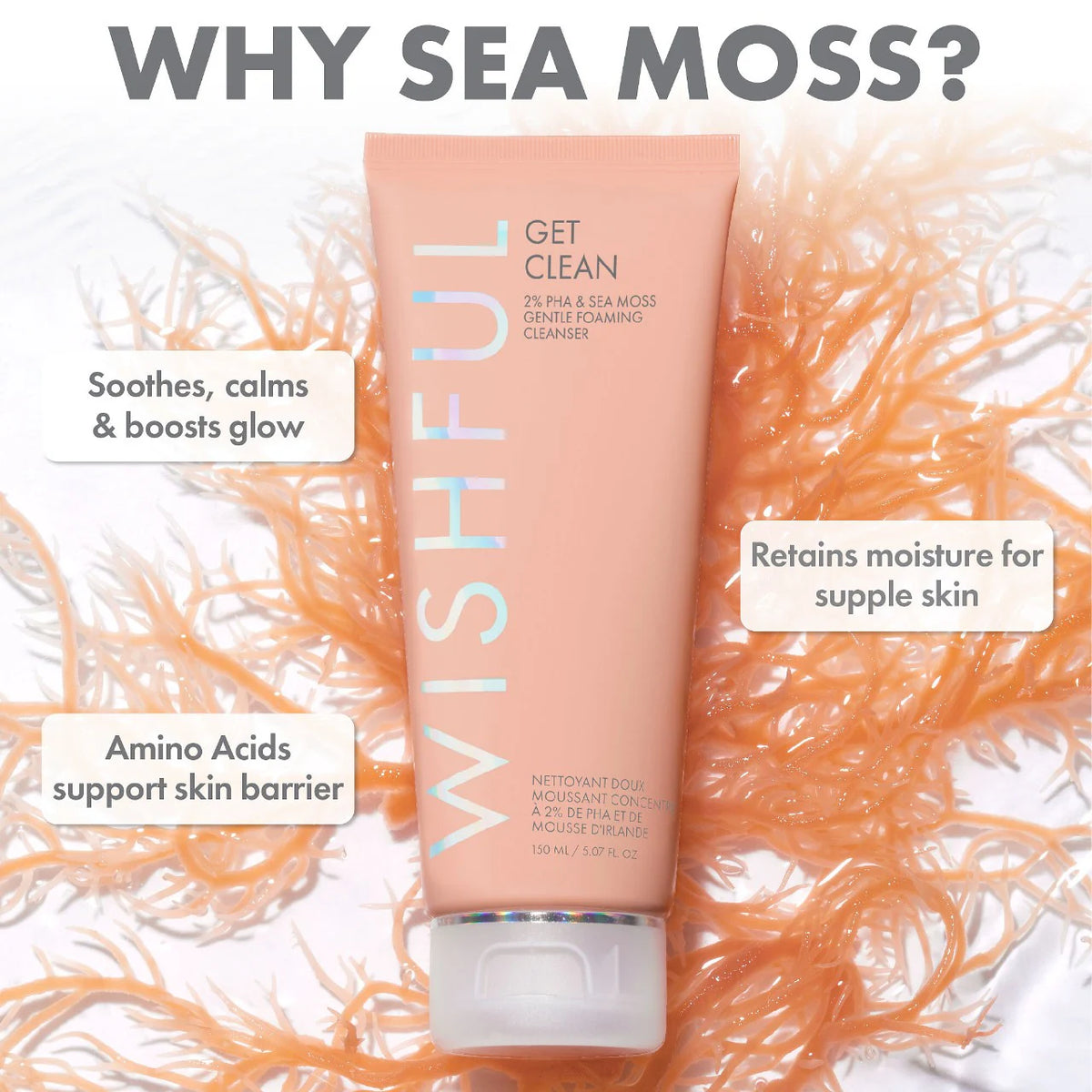 Wishful Get Clean 2% PHA & Sea Moss Gentle Foaming Cleanser cleanser Volare Makeup   